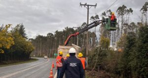 SEC investiga a Frontel y Codiner por presuntas fallas que habrían extendido cortes de energía en La Araucanía